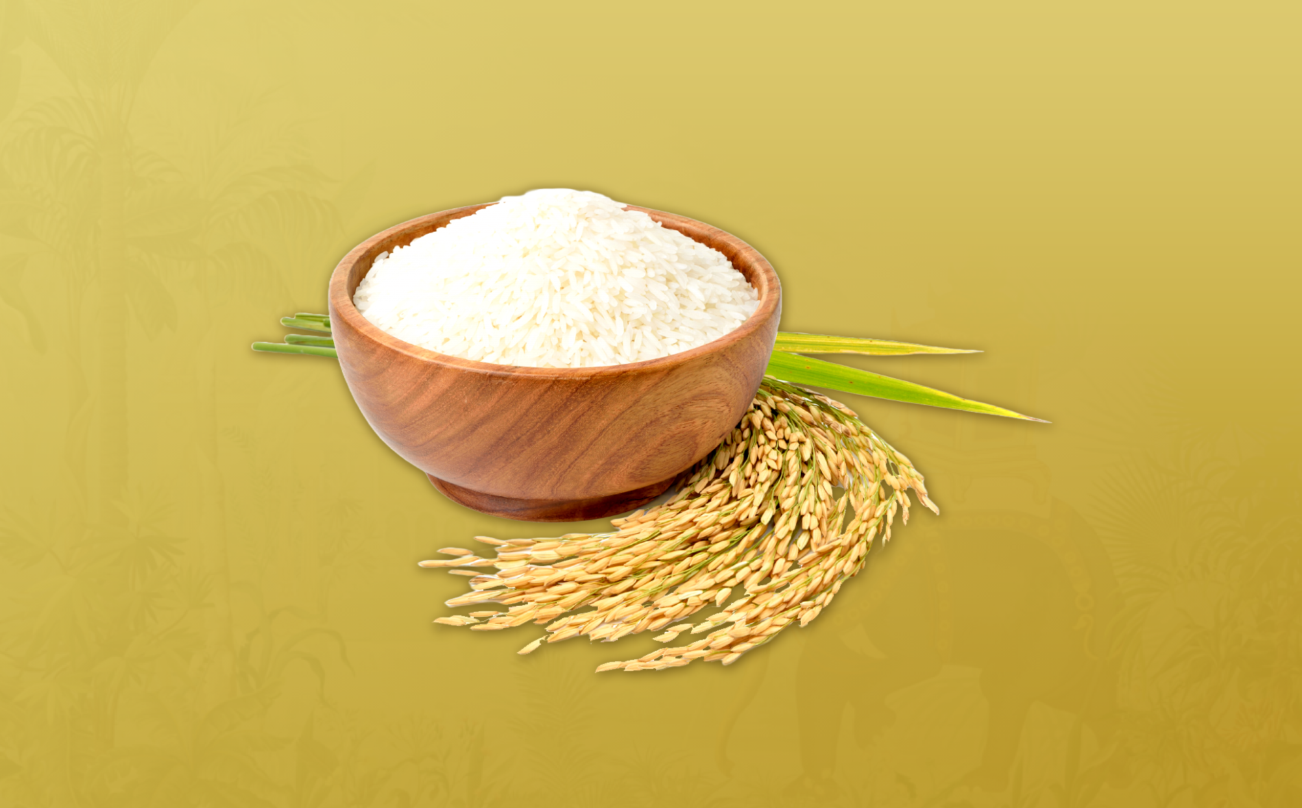 Rice Traceability